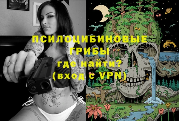 прущая мука Рославль