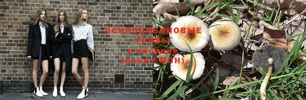 прущая мука Рославль