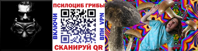 Псилоцибиновые грибы Magic Shrooms  Купить где  Джанкой 